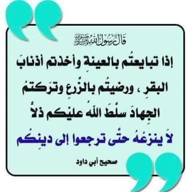 kassim oumer Profile Picture