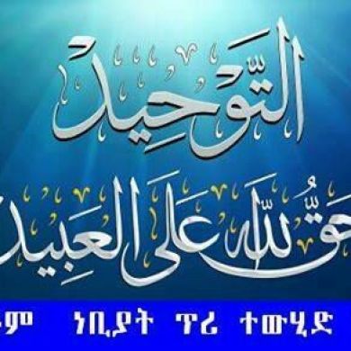 Umer Seid Profile Picture