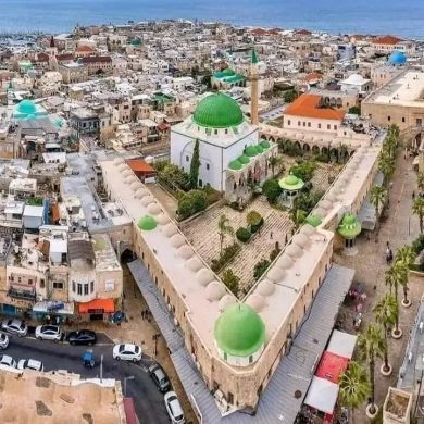 MohammedAnwar Profile Picture