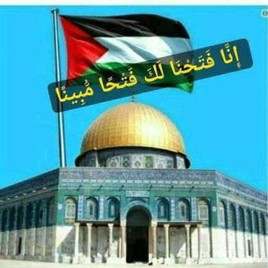 Abduselam Aljaberti Profile Picture