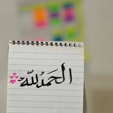 youmna mebarkia Profile Picture