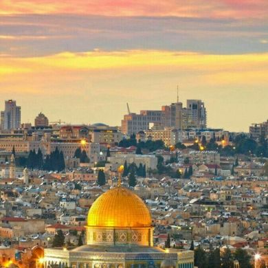 Amjad Abuzoor Profile Picture