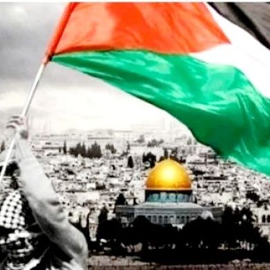 Tamer Ahmed Profile Picture