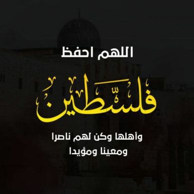 Samira Ayari Profile Picture