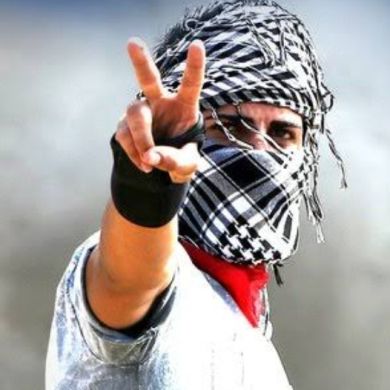 احمد العمدة