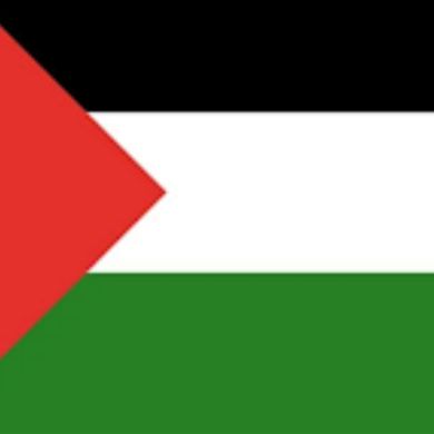 Muhammed Worku Profile Picture