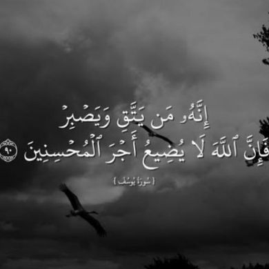 Murad Ahmedin Profile Picture