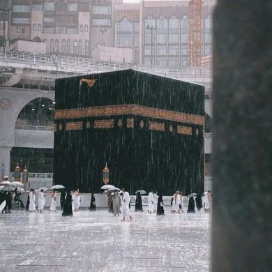 KHALID JEMAL Profile Picture