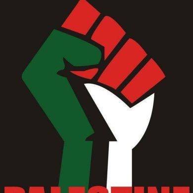 Seyfedin profile picture