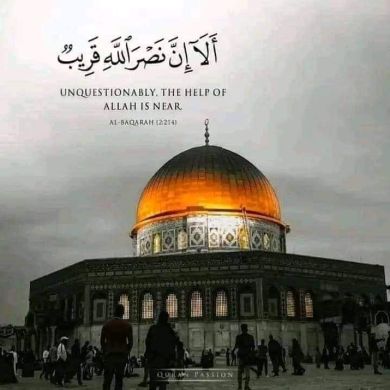 umma1697961200 Profile Picture