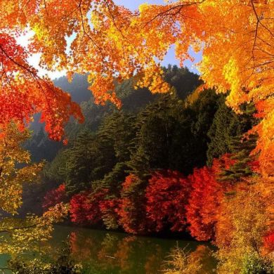 Umu Muhamed Profile Picture