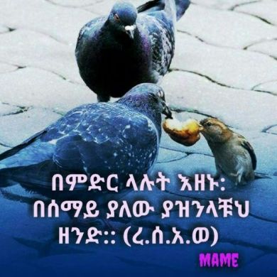 zey neb Profile Picture