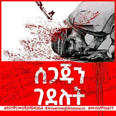 Miftah nesredin Profile Picture