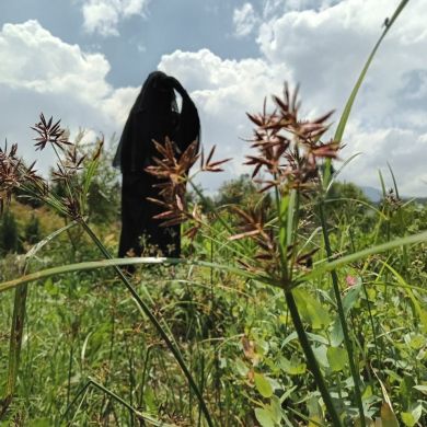 Semeryeshems Profile Picture