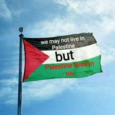 OsmanAbdu Profile Picture