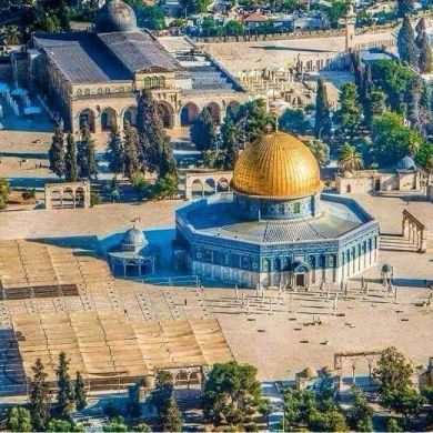 rabar omar Profile Picture