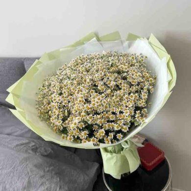 نسرين das_tulpe