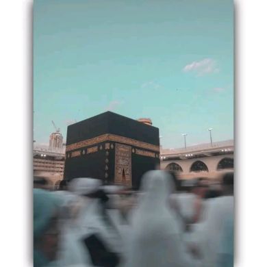 Hayat shemsu Profile Picture