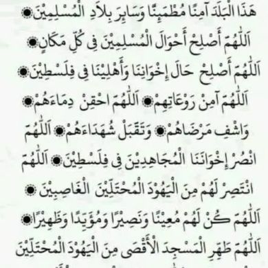 abusalim umer Profile Picture