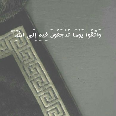 muhamed aman Profile Picture