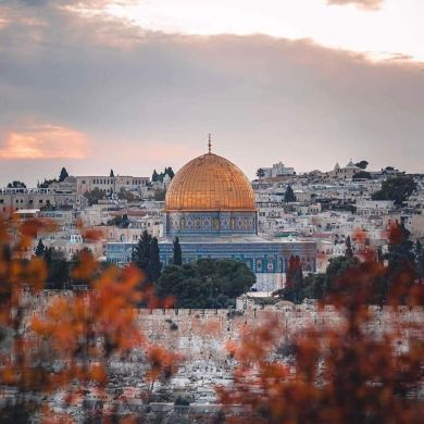 Nuredin mohammed Profile Picture