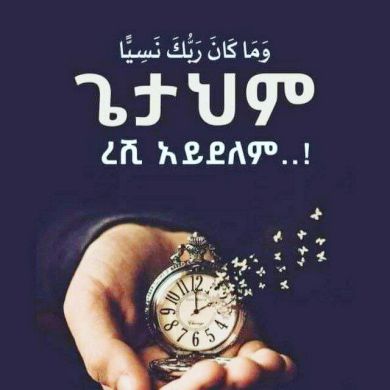 zemzem Ahmed Profile Picture