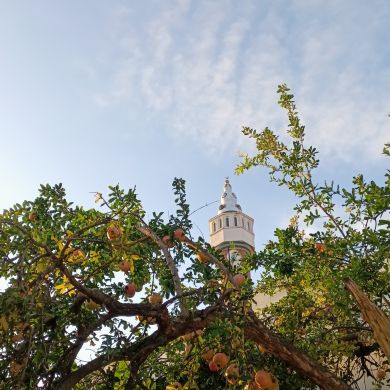 ma layka Profile Picture