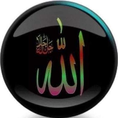 Seid Muhammed Profile Picture