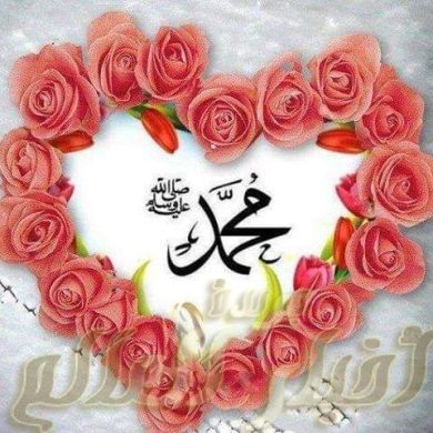 أبو عمير مفتاح خضر Profile Picture