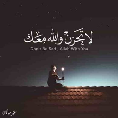 shemels Tefera Profile Picture