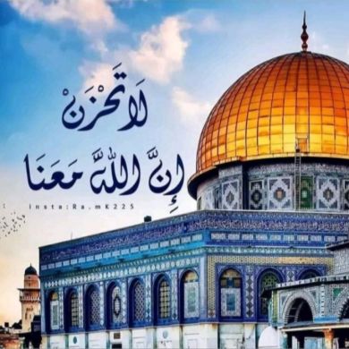 Ayah Gamal Profile Picture