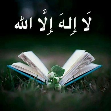 MUSLIM UMMA LIFE UMM