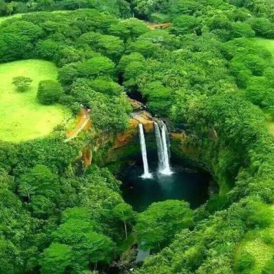 mehdi mehammed Profile Picture