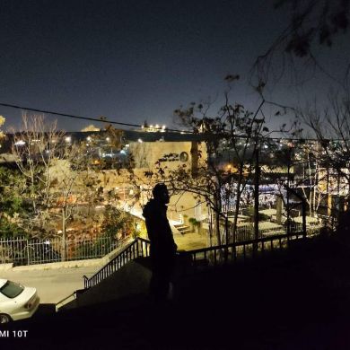 Zain Assal Profile Picture