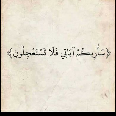 mohammed mekin hamza Profile Picture