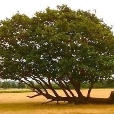 Abu Aisha Seid Profile Picture