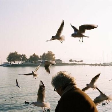 مريم مجاهد Profile Picture