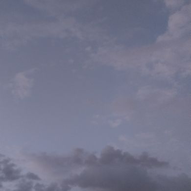 منى عبد الرحمان