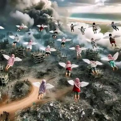 sali shafi Profile Picture