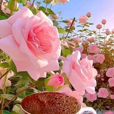 zayhus1249 Profile Picture