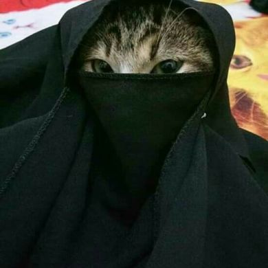 merïem ag Profile Picture