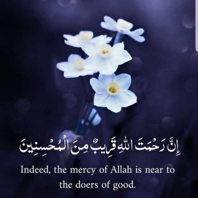 umu kulthum Profile Picture