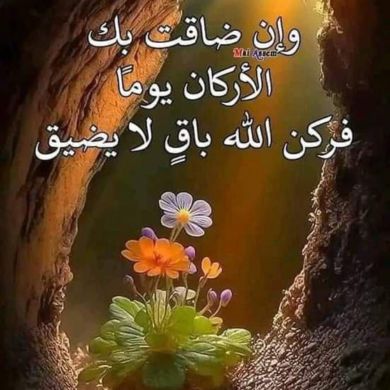 Abu muweyhiba Profile Picture