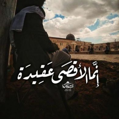 علياء بركة Profile Picture