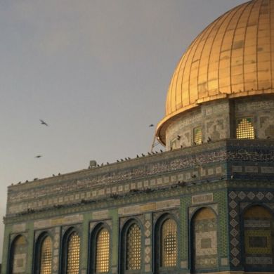 Aya Mahmoud Profile Picture