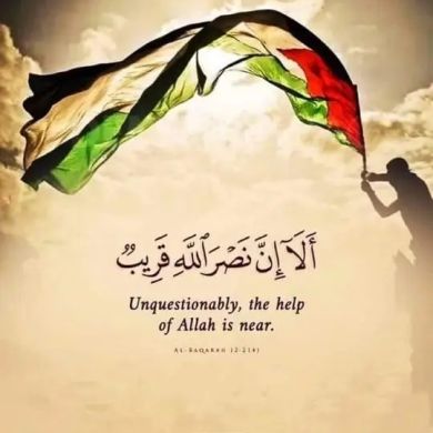 Ummu Afnan Profile Picture