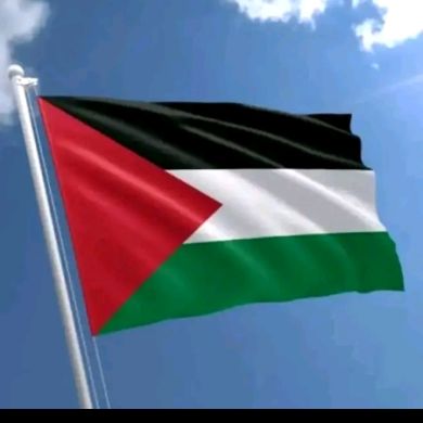 ameru mulugeta Profile Picture