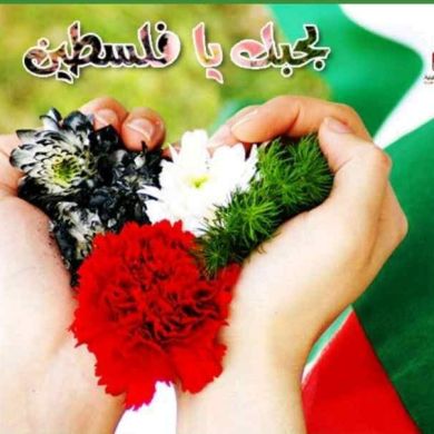 الي خير Profile Picture