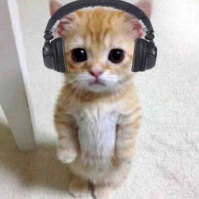 Зейд Джаляль