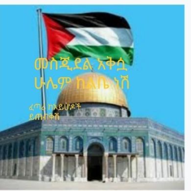 Hakfelagi Profile Picture